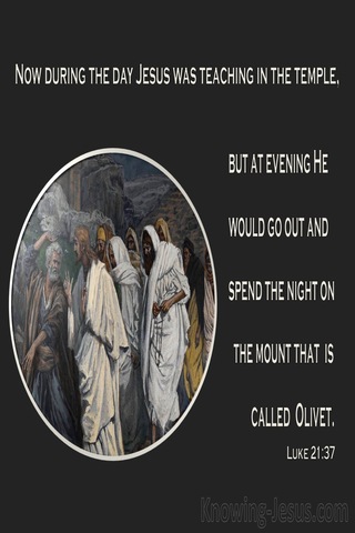 Luke 21:37 The Mount That Is Called Olivet (beige)